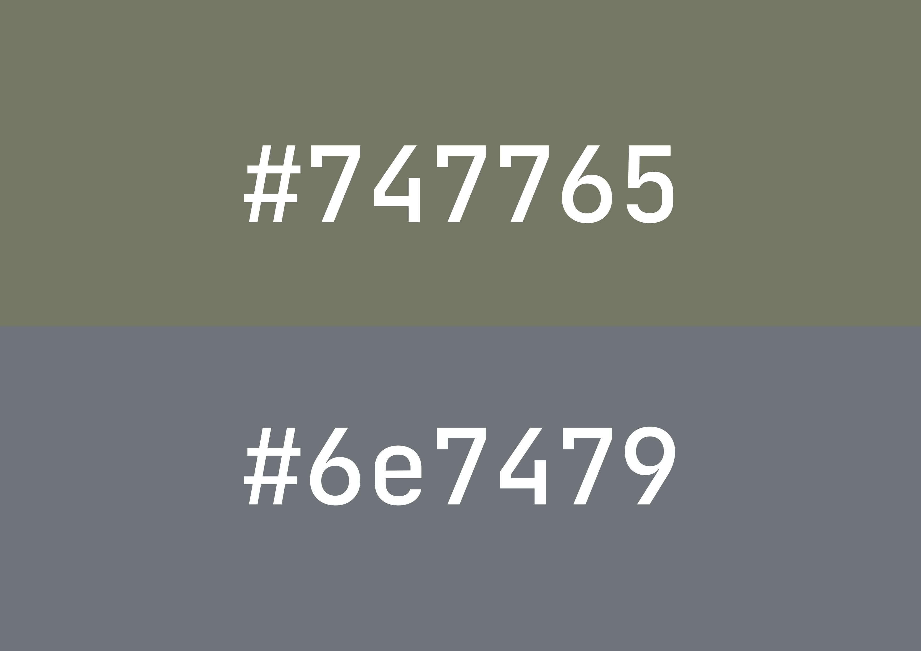 Hex color code representing 'twenty'.